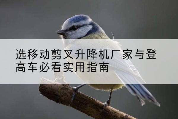 平定电动升降机厂家-选移动剪叉升降机厂家与登高车必看实用指南
