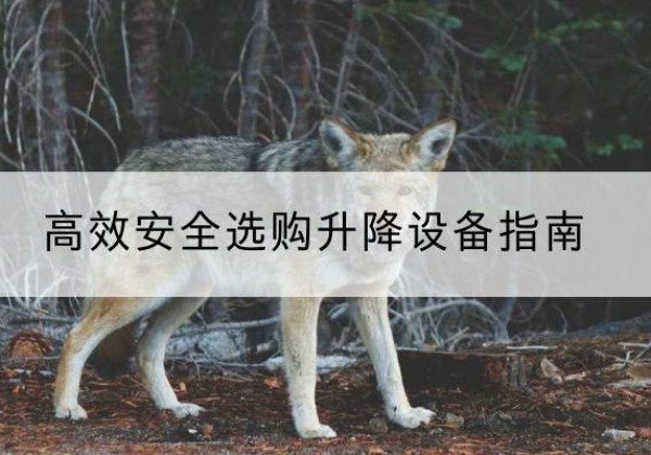 平定升降货梯厂家推荐-*安全选购升降设备指南