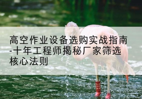 平定剪叉式升降机厂家-高空作业设备选购实战指南-十年工程师揭秘厂家筛选核心法则